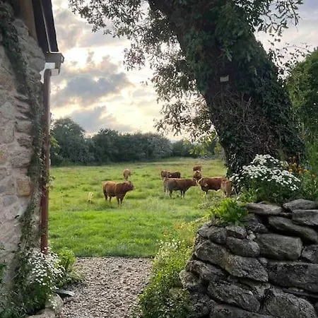 Casa Rural Ecologica The Land Of Eve Lugo